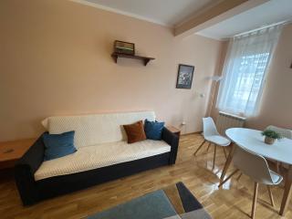 Nice and bright apt in center, 2 balconies - Belgrado - 4