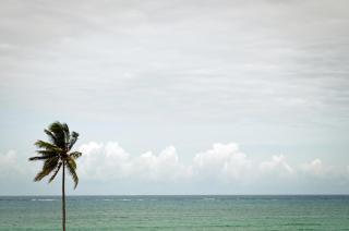 Azul Margarita Beach Resort - Bamburi - 9
