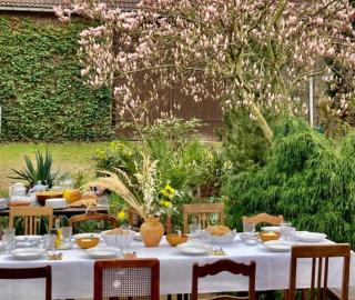 Schlamau19 - Unterm Nussbaum - - 0