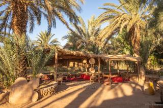 Oasis source de vie - Mhamid - 4