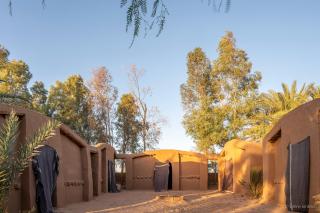 Oasis source de vie - Mhamid - 1