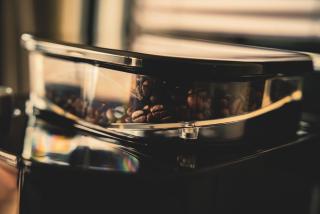 TraumZeitBoot Heidi - exklusiver Festlieger in perfekter Lage am Scharmützelsee Bad Saarow - 1