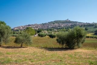 Charming Home with Garden & Stunning Views of Assisi - Assisi - 8