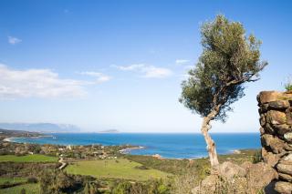 Le Palme - Bari Sardo - 4