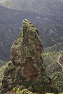 La Casita de Coco Tejeda - 4