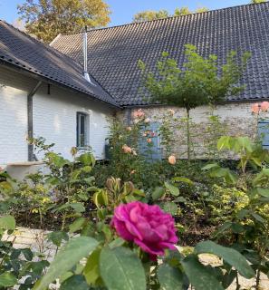 Cottage Landgoed Frymerson - Sint Odiliënberg - 5