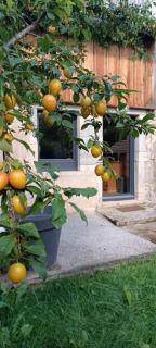 le Gîte des Gnomes - - 6