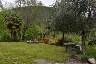 Casa Seme di Faggio - Miasino - 8
