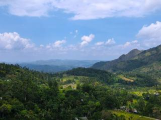 Forest Heaven Eco Resort - 8
