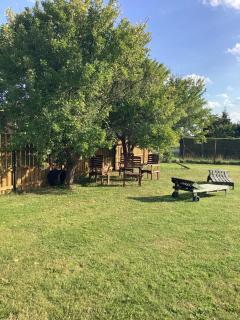 Ferienhaus Möwe - Hessenburg - 5