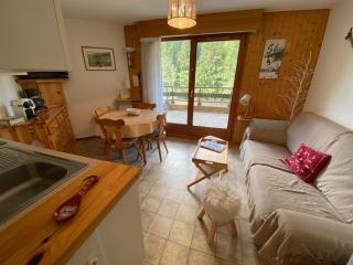 Appartement calme à 900m du centre de Châtel avec terrasse et parking - FR-1-693-112 - Châtel - 0