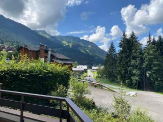 Appartement calme à 900m du centre de Châtel avec terrasse et parking - FR-1-693-112 - Châtel - 6