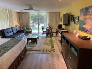 Maui Eldorado Condo C101 - Kaanapali - 9