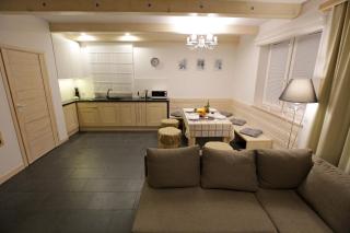 Apartamenty MGM Resorts - Krynica-Zdrój - 1