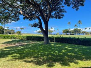 Maui Eldorado Condo J100 - Kaanapali - 9