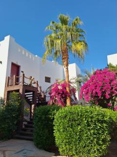 Delta Sharm luxury pool view apartment Shahrazad - Scharm asch-Schaich - 9