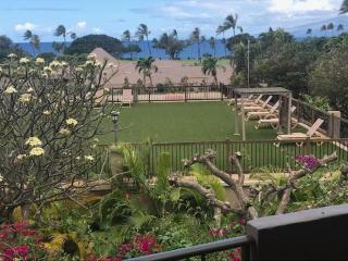 Maui Eldorado Condo K202 - 9