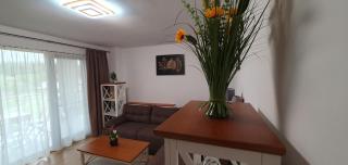 Apartament Relaxa Green 3 - 2 Rooms - AC - Parking - Târgu Mureș - 8