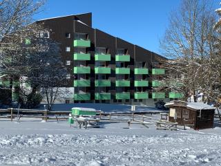 ferienapartment hahnenklee Apart.2 - 8