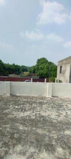 Peace farm - 4