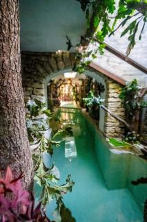 La maison de la piscine - Goult - 3