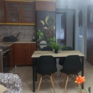 DESPOINA APARTMENT with garden - Néa Michanióna - 9