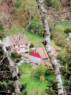 Laĝggggg - Walscheid - 0