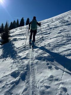 Almchalet Weberhof - Going am Wilden Kaiser - 6