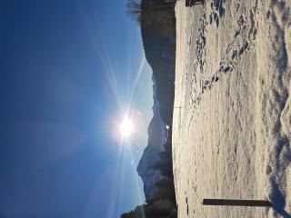 Almchalet Weberhof - Going am Wilden Kaiser - 2