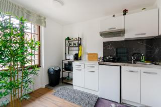 Grand logement 38m2, Aéroport Paris CDG, Disneyland Paris, Parc Astérix, Chambre, Salon - Le Pin - 8