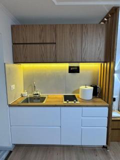 Eco Luxury Living - Tirana - 6