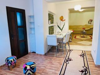 Casa Otilia - Iaşi - 4