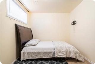 Basement Apartment - 5