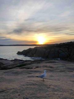 Karma Waters Beach House, 100m from beach - Middleton - 7