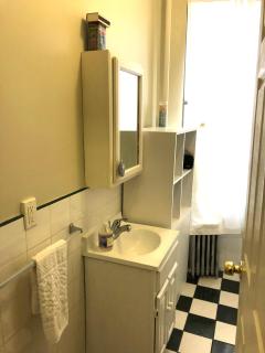 Bright Artist 2 Bedroom - One block from Prospect Park - Across from the train - Brooklyn - 6