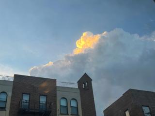 Bright Artist 2 Bedroom - One block from Prospect Park - Across from the train - 5