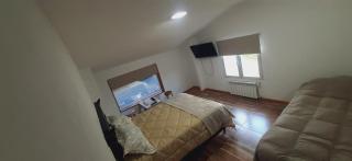 Copahue - San Carlos de Bariloche - 2