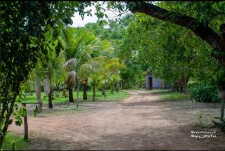 Oca Tocarijus Eco Resort - 9