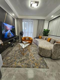 Amellan Homes 1Br Apt Kilimani Lavington - Nairobi - 7