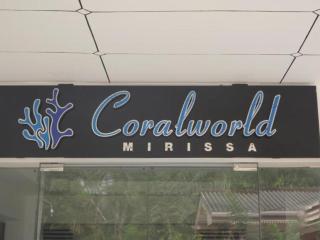 Coralworld Hotel - Mirissa - 1