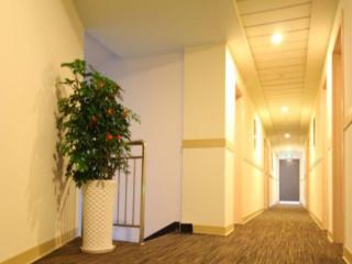 Jinjiang Inn Jiujiang Internation Exhibition Center - 1