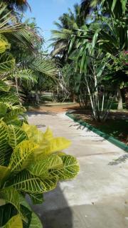 Sri lanka Beach House Hotel - Hikkaduwa - 2