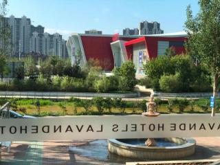 Lavande Hotels Harbin Shimao Avenue Wanda - 1