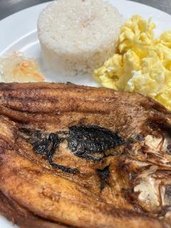 The Hotel Andrea - 1