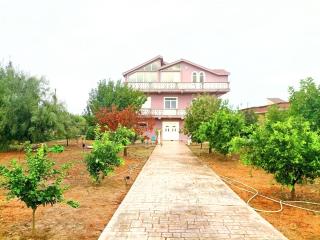villas Alisha for rent best view - Xhafzotaj - 3
