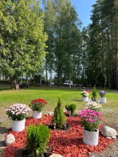 Kyyronkaita - Kyyrö - 1