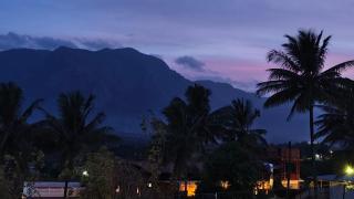 Alappat Lodge Masinagudi - 6