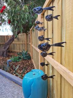 Sauvage - Luxury Garden Apartment - Port Pirie - 5