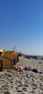 Vakantiehuisje aan Zee - 100m van Strand - Egmond aan Zee - 8