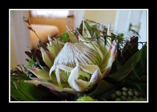 La Fontaine Guest House Hermanus - Hermanus - 4